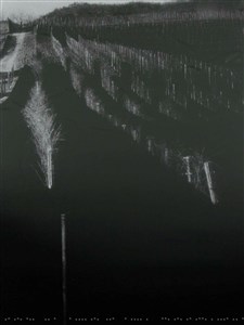 Image description is not available for 2006.016